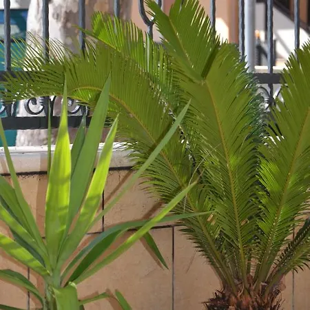 Della Vista Apart Otel Rimini