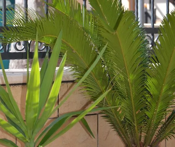 Della Vista Lejlighedshotel Rimini
